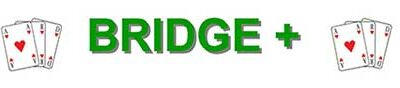 Logo-Bridge-+