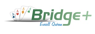 Bridge Plus